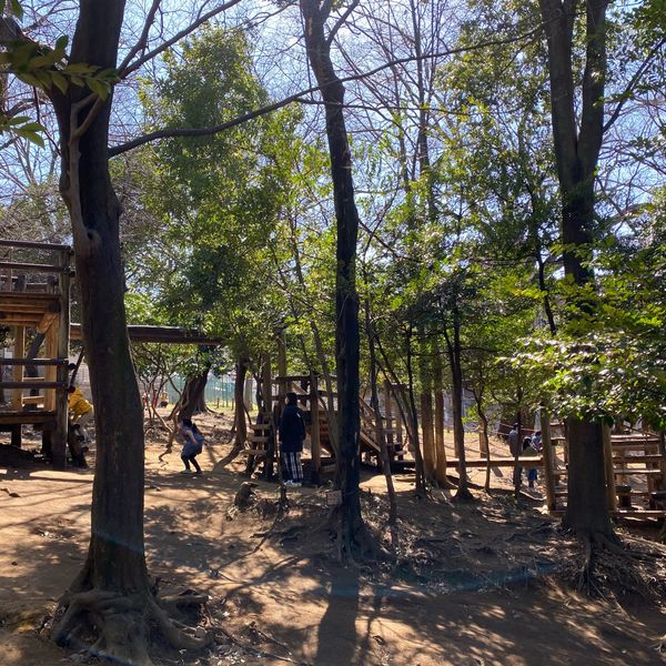 滝の根公園 - トップ画像