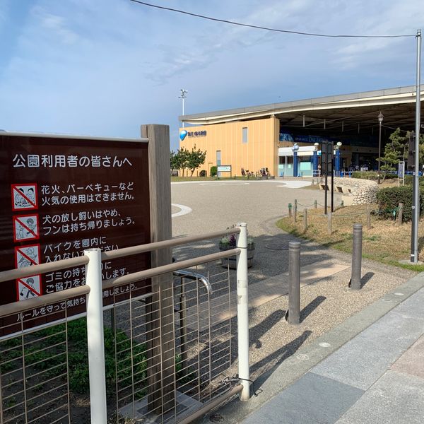 湘南海岸公園 クラゲ広場 - トップ画像