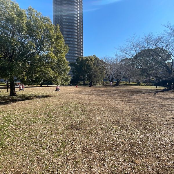 猿江恩賜公園 芝生広場 - トップ画像
