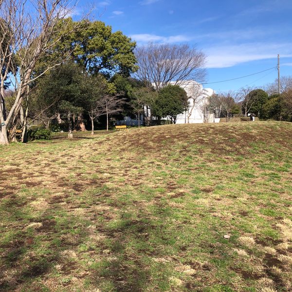 祖師谷公園緑地 - おすすめ画像