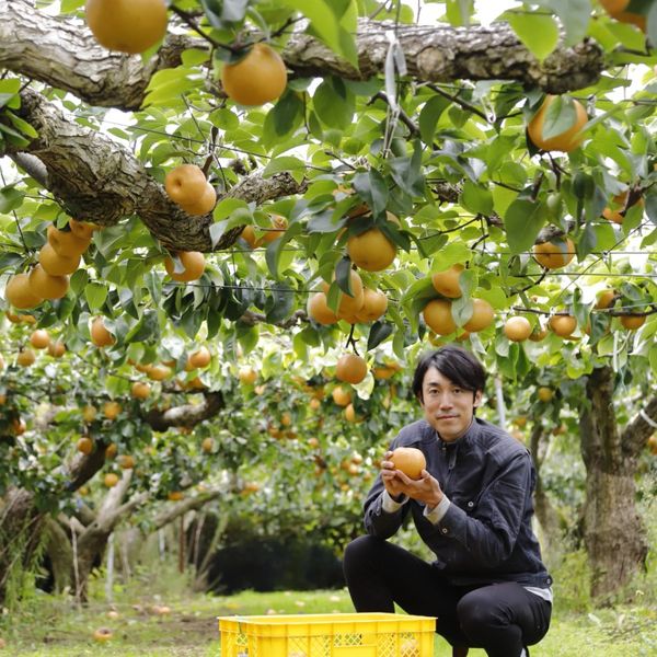 利府おもて梨園 - おすすめ画像