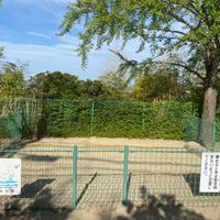 北ノ口公園 - 投稿画像3