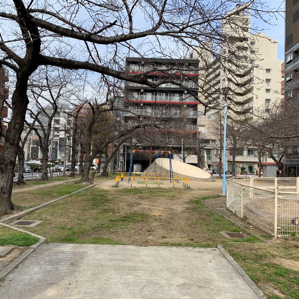 塩草 - トップ画像