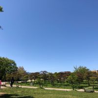 梅小路公園 - 投稿画像1