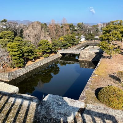 元離宮二条城(もとりきゅうにじょうじょう)(観光名所 元離宮二条城(もとりきゅうにじょうじょう)(観光名所