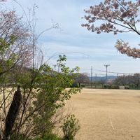 さくら公園 - 投稿画像1