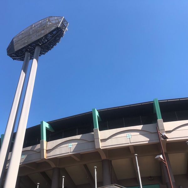 保土ケ谷公園 サーティーフォー保土ヶ谷球場 - おすすめ画像