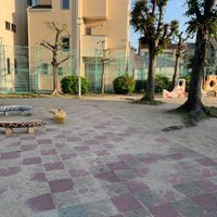 春日公園 - 投稿画像2