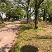 市民ふれあい広場 - 投稿画像3