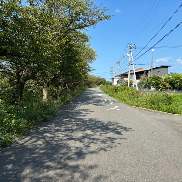 東村国分線（交通危険・転落危険） - おすすめ画像