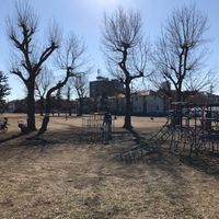 三角公園 - 投稿画像2