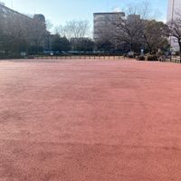 ケイエスピー広場 - 投稿画像1