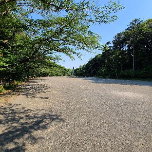 芹ヶ谷公園 - おすすめ画像