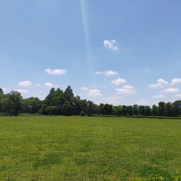 秋ヶ瀬公園 ニュースポーツエリア - トップ画像