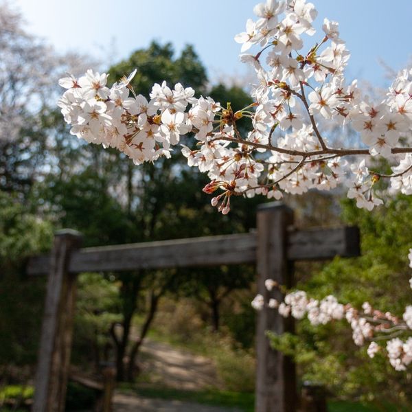 長命館公園 - トップ画像