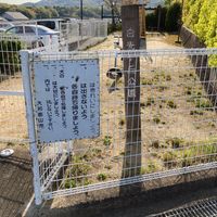 白光ヶ丘児童公園 - 投稿画像1