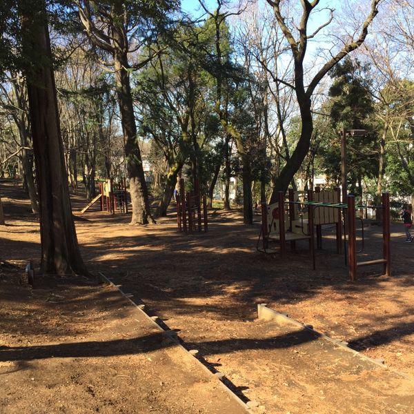 林試の森公園 冒険広場 - トップ画像