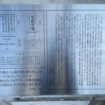 大森貝塚（国指定史跡） | MEQQE（めっけ）