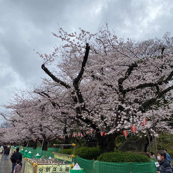 上野恩賜公園 - おすすめ画像