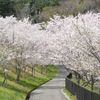 竜田古道の里山公園 - トップ画像
