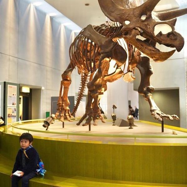 のんほいパーク（豊橋総合動植物公園）自然史博物館 - トップ画像