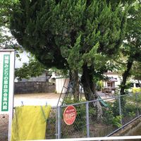 里ノ西第2幼児公園 - 投稿画像1