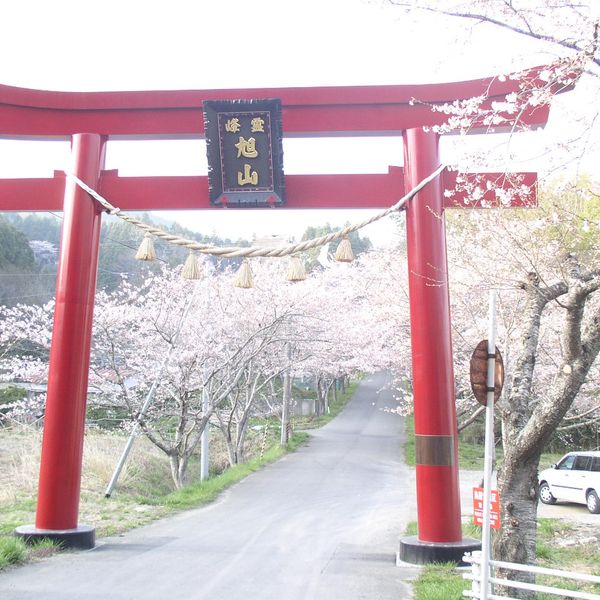 県立自然公園旭山 - おすすめ画像