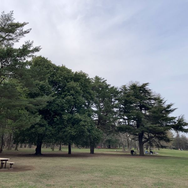 野川公園 自由広場 - トップ画像