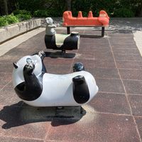 山田川公園 - 投稿画像0
