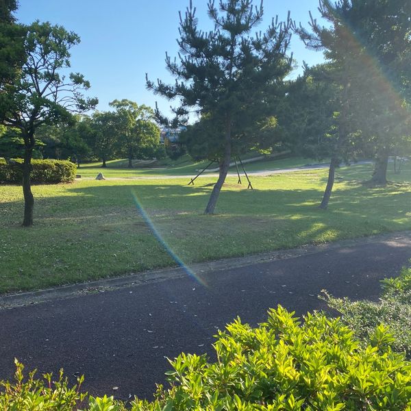 霞ヶ浦総合公園 - トップ画像