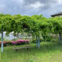 百楽園四丁目第2号街区公園 - 投稿画像1