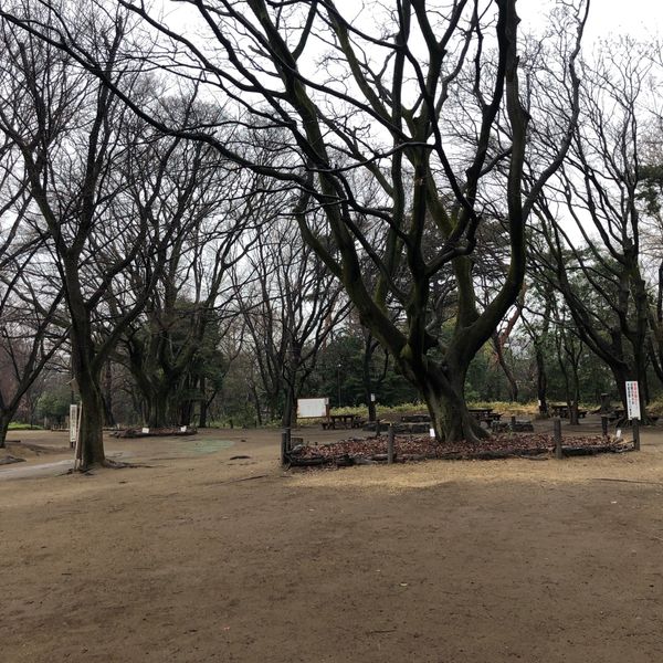 駒場野公園 - トップ画像