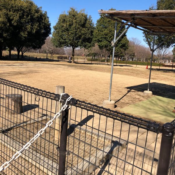 川越公園 ドッグラン - トップ画像