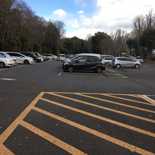 所沢航空記念公園 南駐車場 - トップ画像