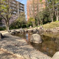 片山公園 - 投稿画像0