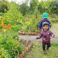 北川村モネの庭マルモッタン - 投稿画像0