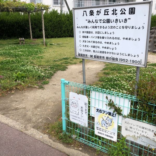八条が丘北公園 - おすすめ画像
