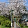 天湯川田神社 - トップ画像