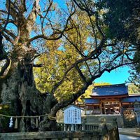 大山祇神社(おおやまづみ) - 投稿画像0