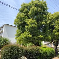 竹の台公園 - 投稿画像1