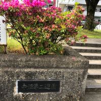 中畑第2児童遊園 - 投稿画像3