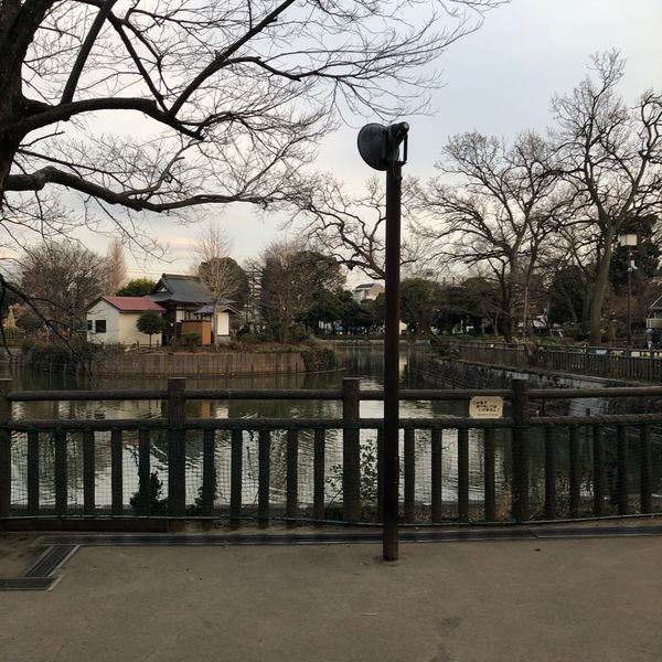 碑文谷公園 - おすすめ画像