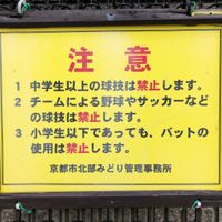嵯峨中山 - 投稿画像3