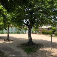 花山公園 - 投稿画像3