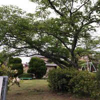 深谷第4幼児公園 - 投稿画像3