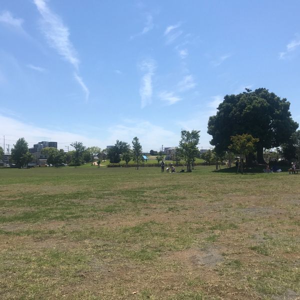 石津西公園 - トップ画像