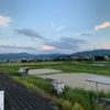 大堰川緑地東公園 - トップ画像