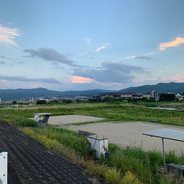 大堰川緑地東公園 - おすすめ画像