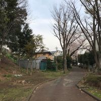 府中崖線本宿町緑地 - 投稿画像2