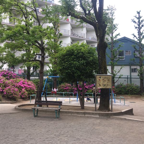 貫井公園 - トップ画像